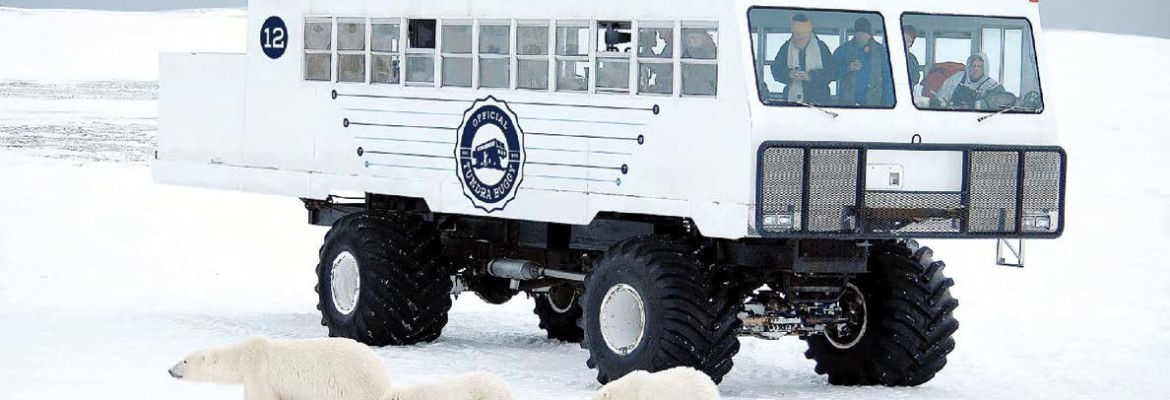 Electric Polar Bus