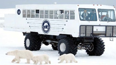 Electric Polar Bus