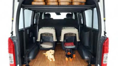 Dogs sitting in back of van